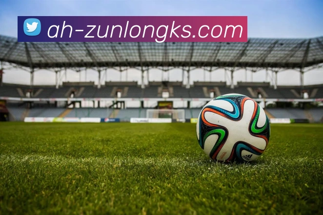 尊龙凯时官网APP 体育赛事宣传图